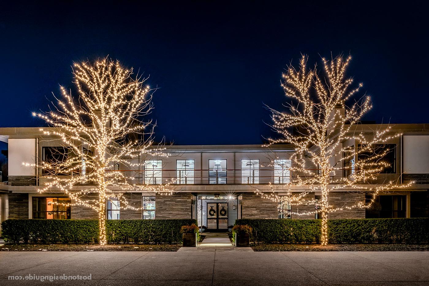 High-end contemporary home with holiday lights by R.P. Marzilli & Co.